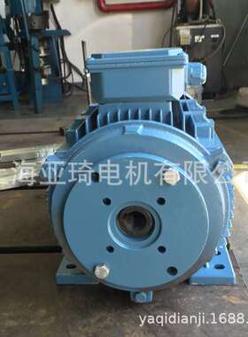YE2-160L-6-11KW高压清洗机电机内轴电机