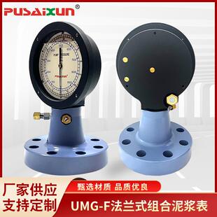 泥浆压力测量吊钳扭矩压力表UMG-F法兰式组合泥浆表泵压测量表