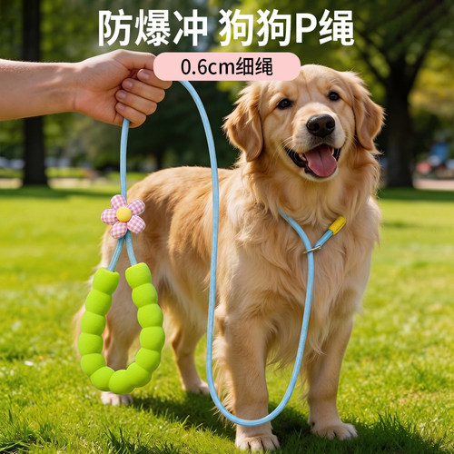 狗狗牵引绳外出专用防爆冲P绳P链