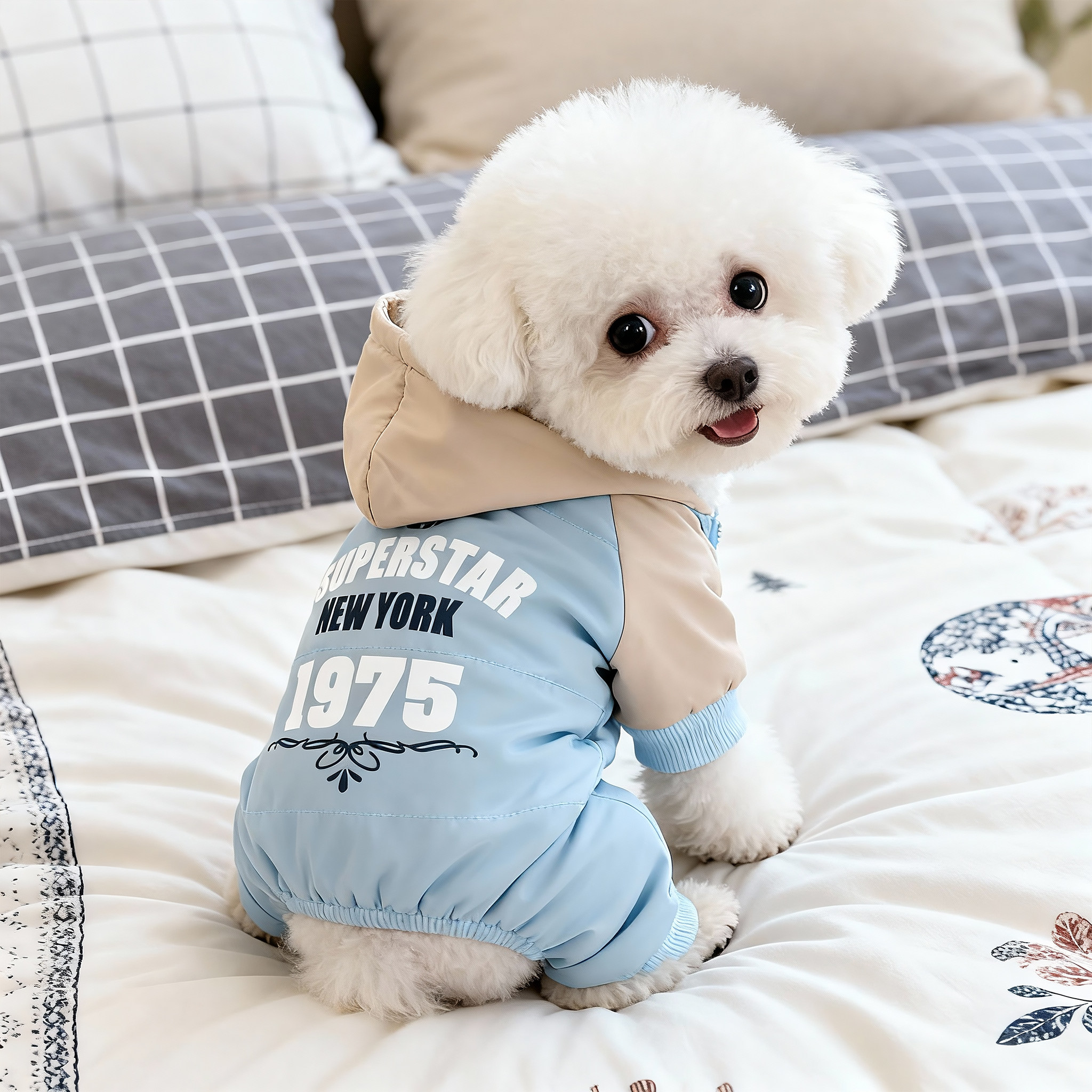 狗狗秋冬款加厚保暖防风四脚连帽棉衣小型犬泰迪比熊宠物猫咪卫衣,宠物/宠物食品及用品,狗宠物服装/雨衣,淘宝优惠券,粉丝福利购,淘宝优惠卷