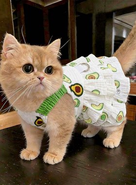小猫咪衣服夏季薄款牛油果连衣裙