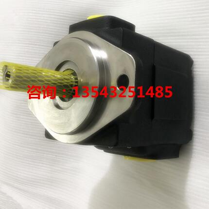 0尼逊06C/0/丹6/220114叶片泵B0R13-/0-T00310-/0/10100油泵70/8