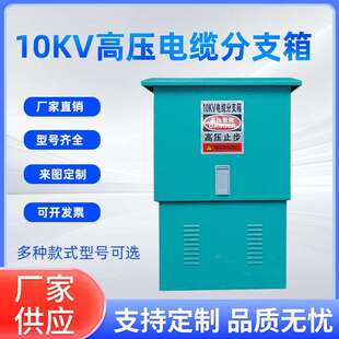 10kv高压电缆分支箱35kv欧式分接箱一进二三四五出高压铜排T接箱