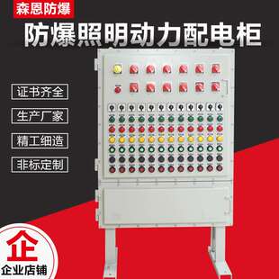 生产厂家防爆照明动力配电柜成套防爆正压柜带自控系统不锈钢