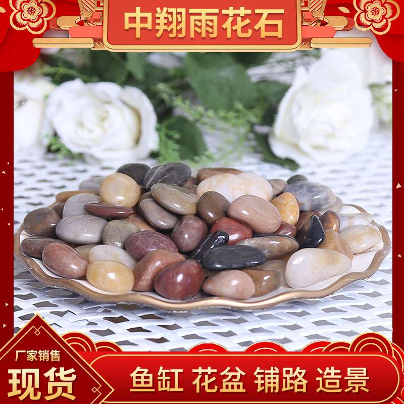 南京鹅卵石雨花石小石子鱼缸花盆多肉装饰盆栽园艺造景五彩石5斤