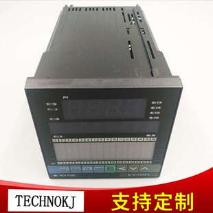 REX 数字显示程序控制器 P250智能程序控制器