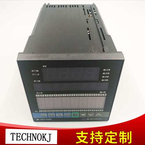 REX-P250智能程序控制器 数字显示程序控制器