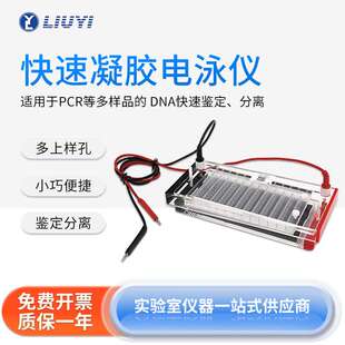北京六一 实验室快速凝胶电泳仪DYCP-44N电泳槽可用8道移液器加样