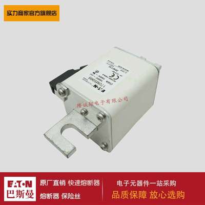 熔断器170M4970 170M4971 170M4972 170M4973 170M4974 170M5966