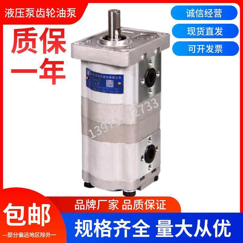 合肥长源液液压双联齿轮油泵CBWL-F310/F306-ALP液压泵高压泵油泵,鲜花速递/花卉仿真/绿植园艺,割草机/草坪机,淘宝优惠券,粉丝福利购,淘宝优惠卷