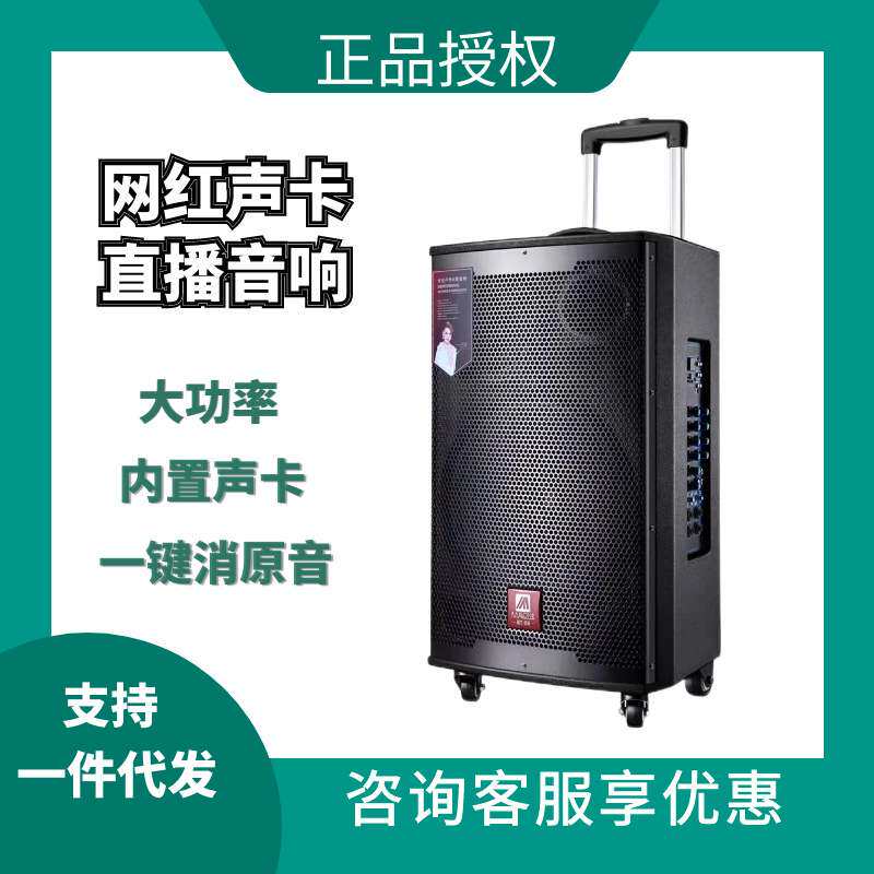曼龙户外大功率音响家用唱歌声卡直播一体机便携式移动广场舞音箱