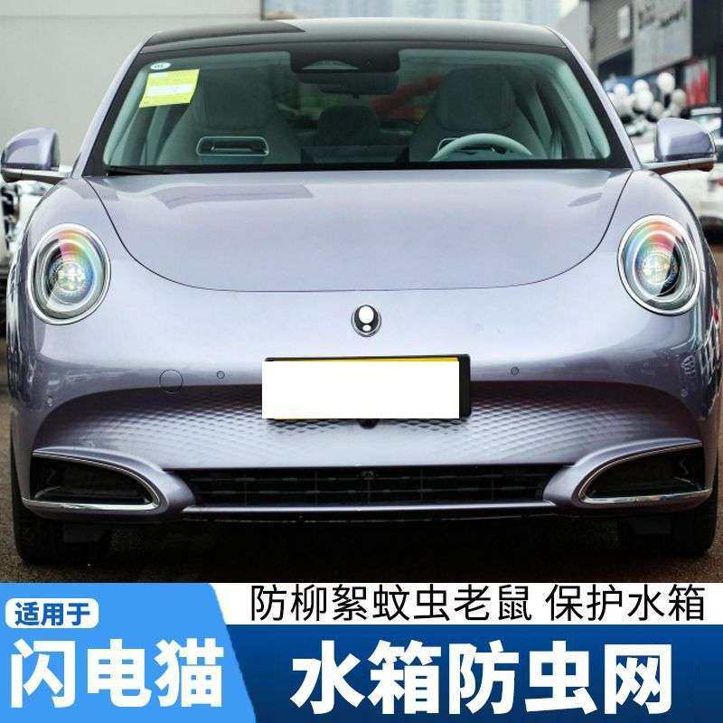 适用22款欧拉闪电猫防虫网改装专用中网水箱防护网防蚊虫柳絮飞絮,3C数码配件,USB灯,淘宝优惠券,粉丝福利购,淘宝优惠卷