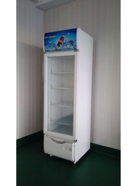 美利乐276升太阳能展示柜冰箱车载冰柜LSC-276家用商用