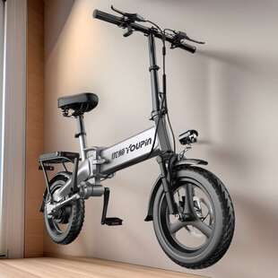 only Export 48V folding bicycle高续航 2024 electric New