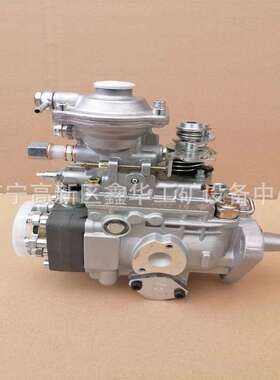 专业销售发动机配件VE6泵总成10F1900RND417