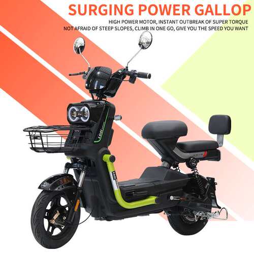 2024 popular multi-functional load king electric bicycle