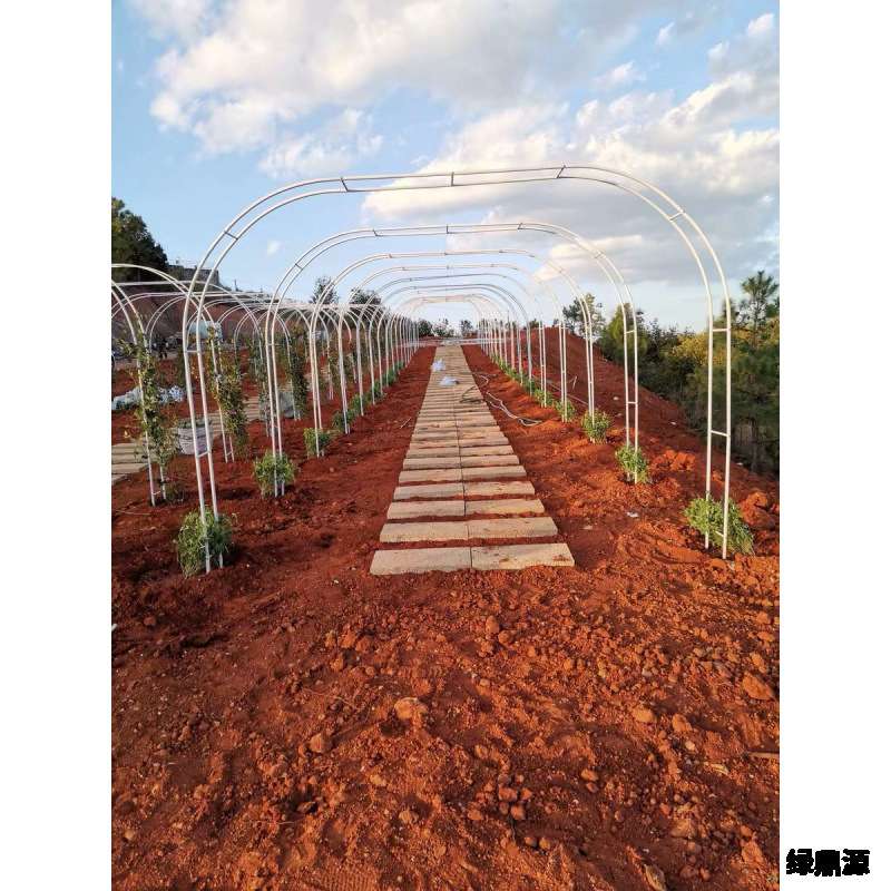 格蔷庭院爬藤架植物攀爬架丝瓜搭架户外葡萄架铁艺拱门花架室内花