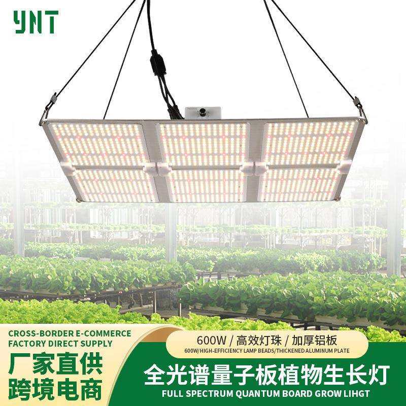 跨境全光谱led量子板植物灯大棚蔬菜花卉育苗顶部补光防水生长灯,鲜花速递/花卉仿真/绿植园艺,割草机/草坪机,淘宝优惠券,粉丝福利购,淘宝优惠卷