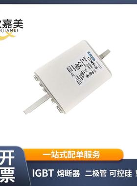 170M5138 170M5016 快速熔断器 保险丝 电子元器件 量大价优