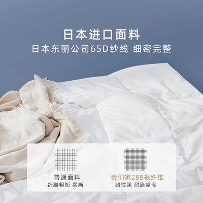 B01冬季磨毛九孔纤维被加厚保暖秋冬双人被芯柔软亲肤羽丝绒被芯