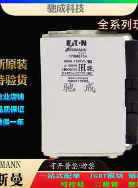 巴斯曼170M6731 170M6732 170M6734 厂价供应优价供应 伊顿熔断器