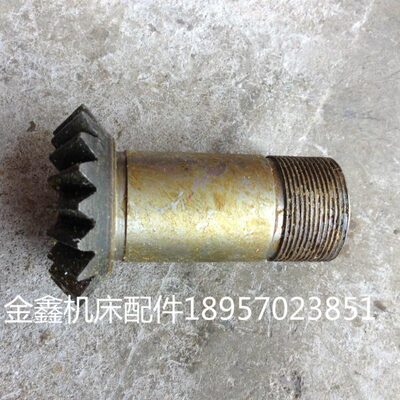 沈阳中捷友谊厂钻床配件 Z3725 Z3732 725305B 伞齿轮 Z19 M3