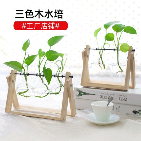 铁艺绿萝个性迷你客厅小清新插花水培创意玻璃花瓶桌面摆件铜钱草