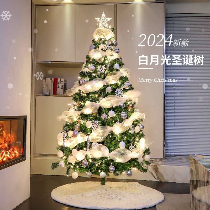 圣诞树家用套餐发光大型摆件感风新款圣诞节任何场景装饰直销