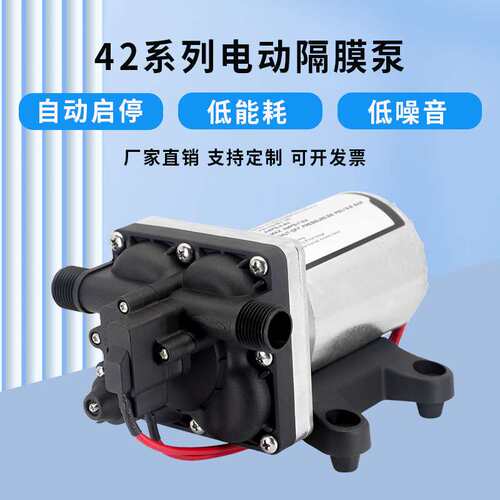 42镀锌款20.8L房车游艇水泵12V24V农业灌溉抽水泵自吸隔膜增压泵