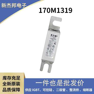 170M1319170M1320170M1321原厂供应快速熔断器保险丝速断工业级