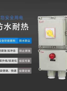 防爆断路器10A16A20A32A63A100A2P32A防爆开关箱380V配电箱BDZ52