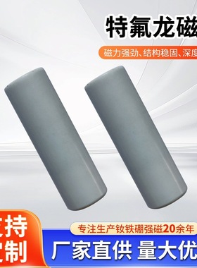 新能源特氟龙强磁棒 抗强酸耐腐蚀 聚四氟乙烯锂电池磁棒6500GS