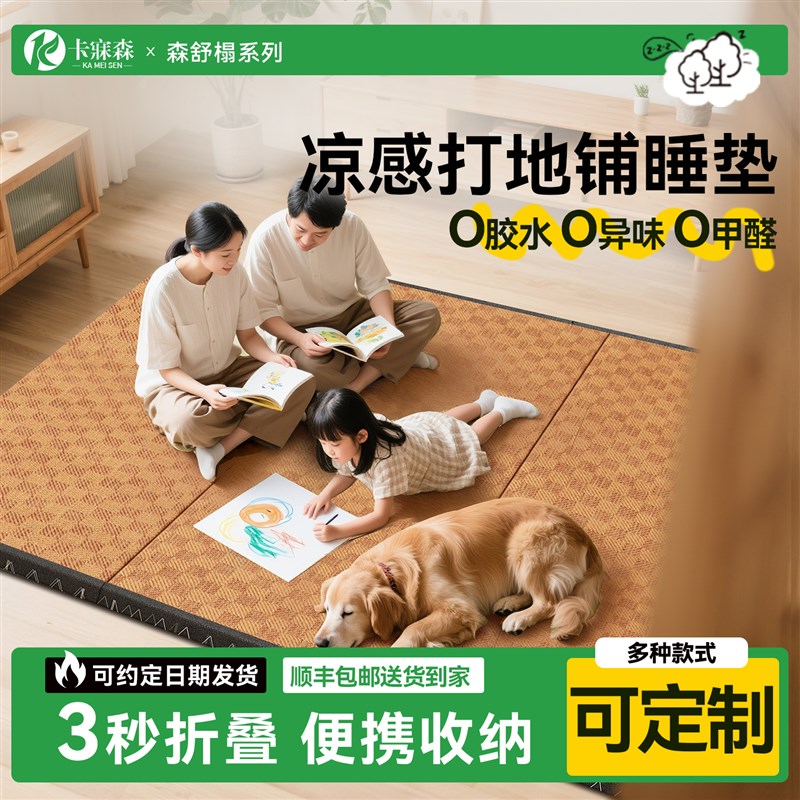 打地铺睡垫夏季凉感床垫r薄款榻榻米垫日式地垫打地铺隔寒午休神