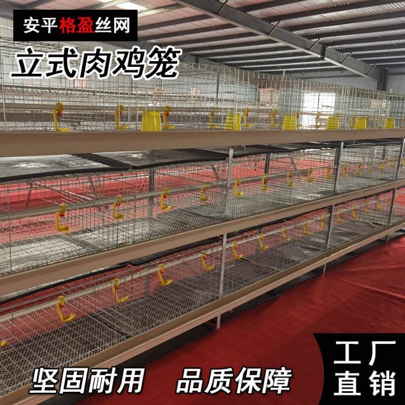 现代化养殖场自动喂料肉鸡笼立体肉鸡鸡笼
