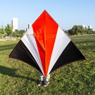 易天冲元追微风筝飞伞冲开晋天大天抗风冲大人三专用剑坠碳素风布