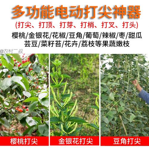 金银花椒】樱桃【打葡萄12锂电包邮角打顶机打尖神器新款电动豆头