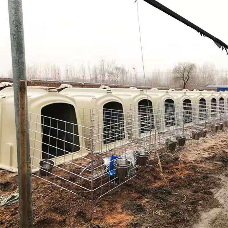 滚塑小牛屋围栏牛犊屋牛棚滚塑农场畜牧业养殖场牛犊岛小牛牛犊屋