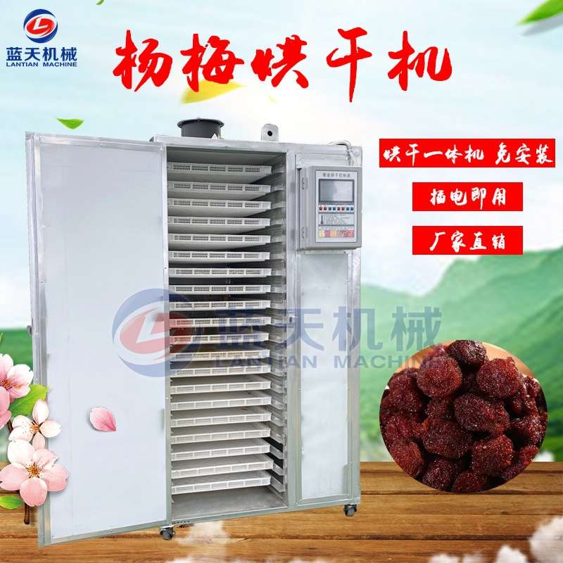蓝天杨梅烘干机 智能控温杨梅干杨梅果烘干箱 小型树梅烘干机设备