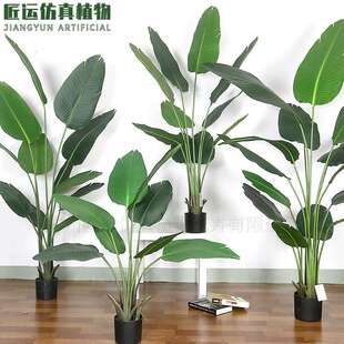 仿真绿植假植物旅人蕉高端轻奢装饰室内盆栽仿生天堂鸟客厅摆件树