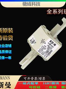 巴斯曼170M4161 170M4162 170M4163 厂家原装优价供应 方体熔断器