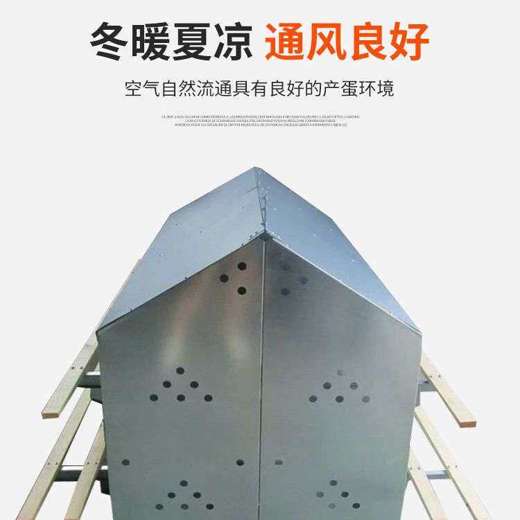 12窝鸡用产蛋箱 厂家 鸡用下蛋箱子 产蛋箱生产厂家