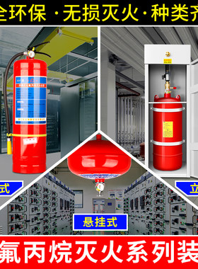 七氟丙烷灭火器手提式柜式自动气体灭火装置悬挂4kg6kg2kg5公斤8