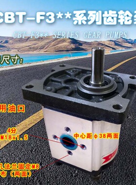 11花油泵 齿轮泵CBN-F304 F306 F308 F310 F316 F314 F325 F320