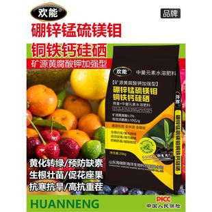 中微量元素水溶肥钙镁硼锌铁黄腐酸钾蔬菜果树肥料冲施肥颗粒肥