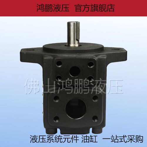 全新原装 YBE系列液压油泵叶片泵罗定泵YB-E50 63 80 125 160 200