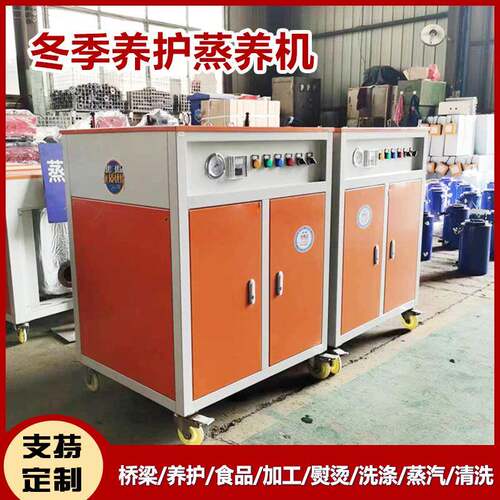 桥梁养护蒸汽发生器全自动电蒸汽发生器管道养护电加热蒸汽发生器