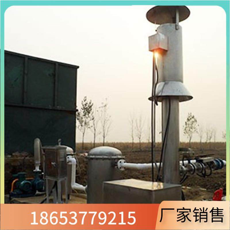 内燃式沼气燃烧器 垃圾填埋场污水处理沼气处理火炬