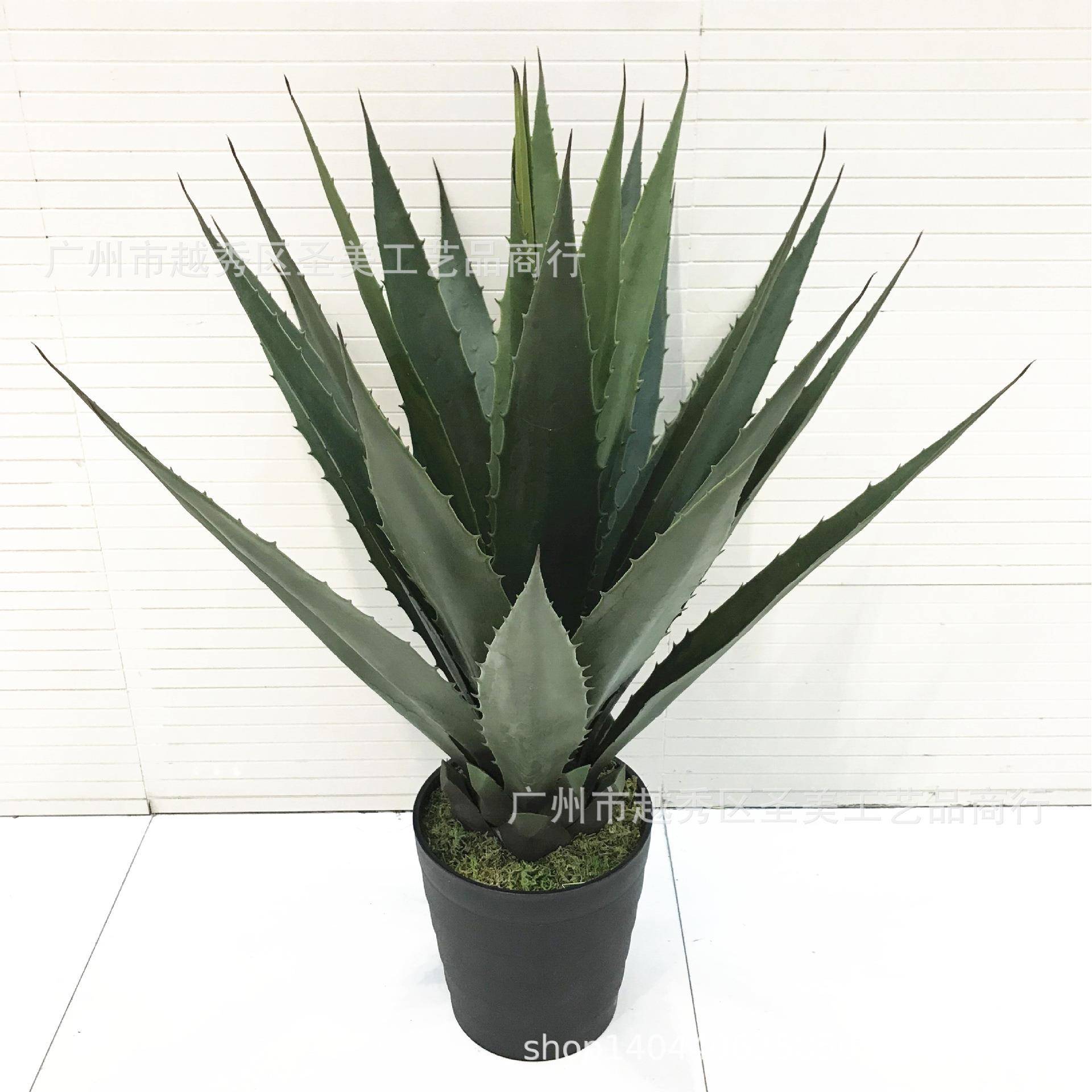 仿真植物剑麻盆景胶叶黄冠兰假树龙舌兰室内摆件热带植物