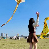 大人超大专用形潍坊网红风筝新款 微飞风大号高档2024龙年易高端