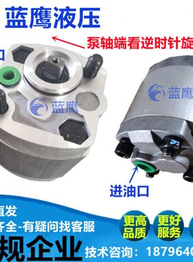 CBK-F125 F130 F133 F132 F140 F148 F153 F158 F180齿轮油泵 BL